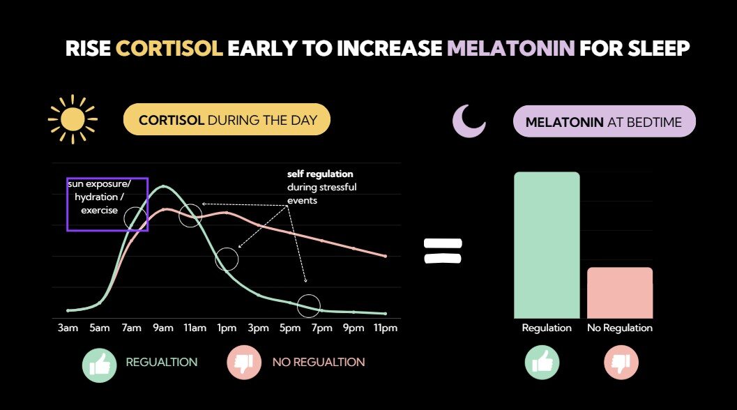 Diagram showing the relationship between an early daytime cortisol rise and melatonin at bedtime.