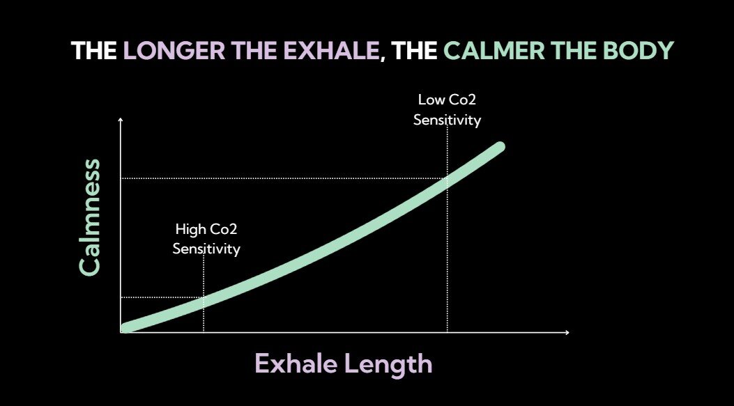 Illustration showing calmness increasing as exhale length increases.