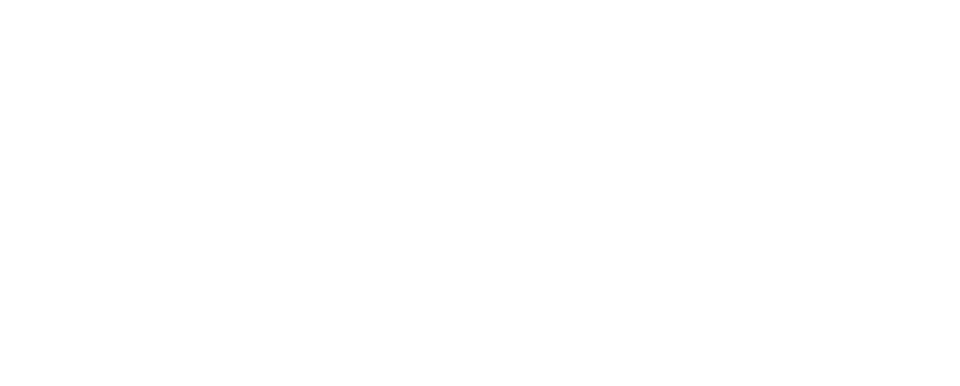Southern Cross Austereo Logo